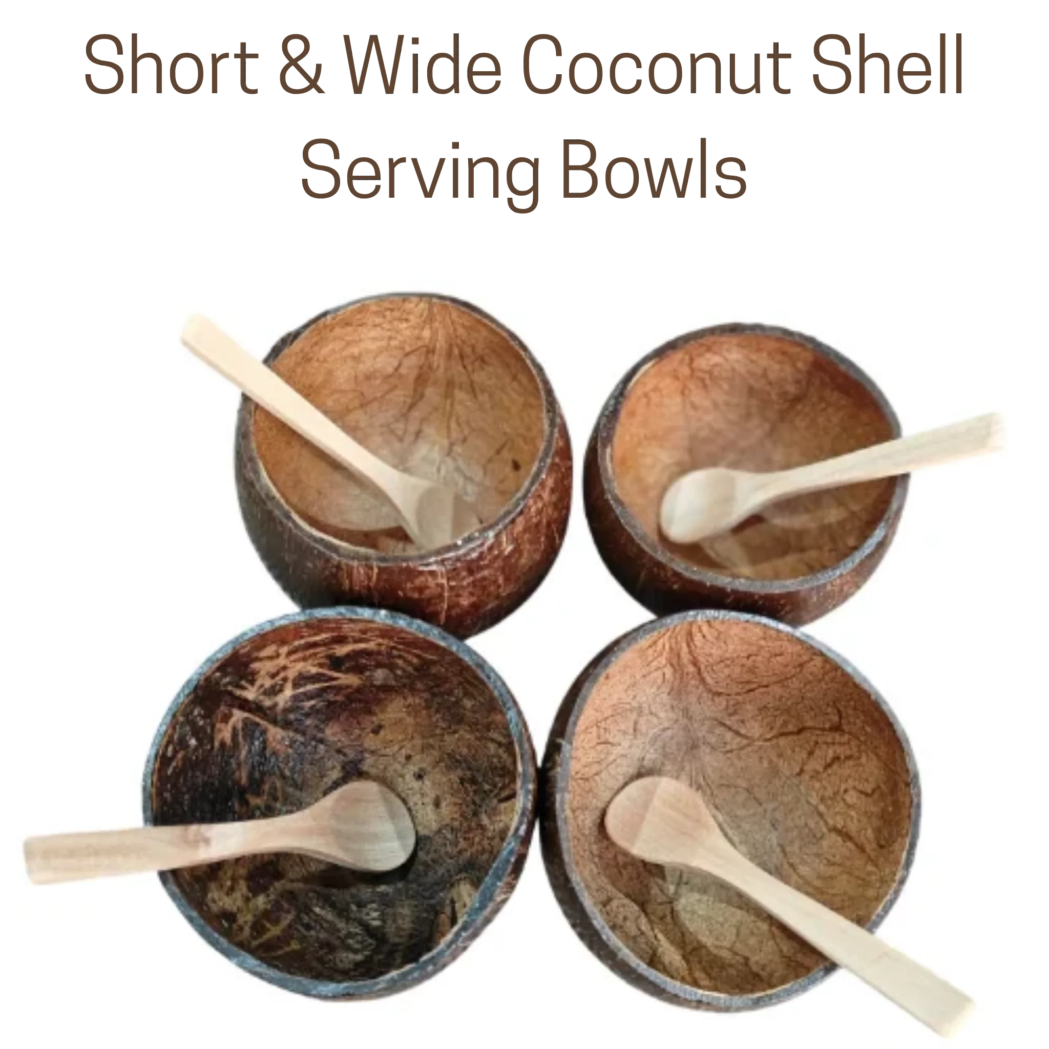 Short & Wide Coconut Shell Serving Bowl