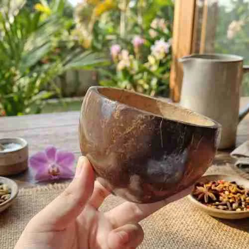 Short & Wide Coconut Shell Serving Bowl