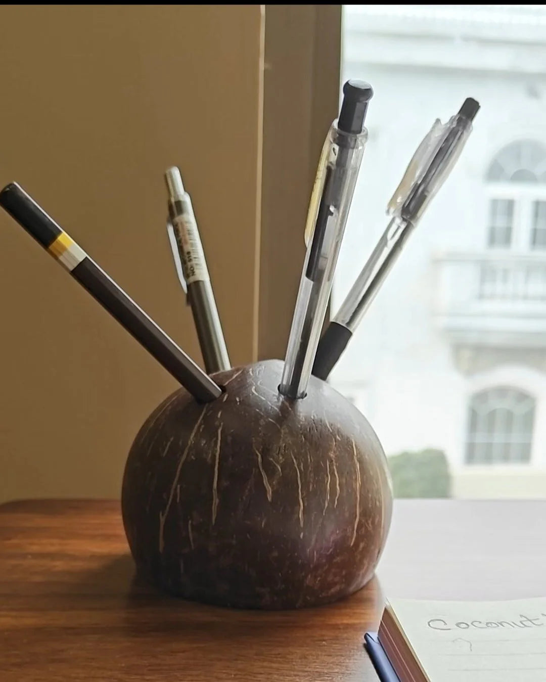 Coconut Shell Pen/Pencil Holder