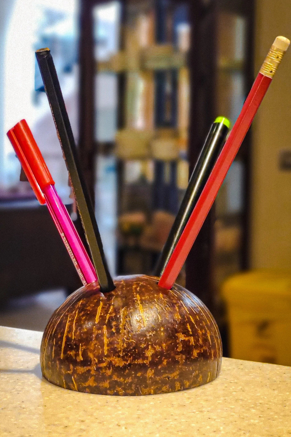 Coconut Shell Pen/Pencil Holder