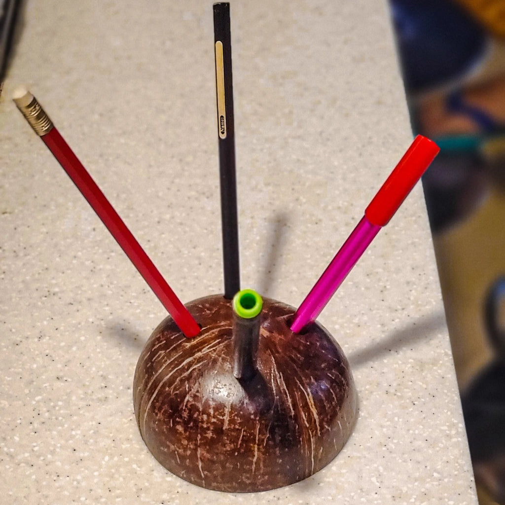 Coconut Shell Pen/Pencil Holder
