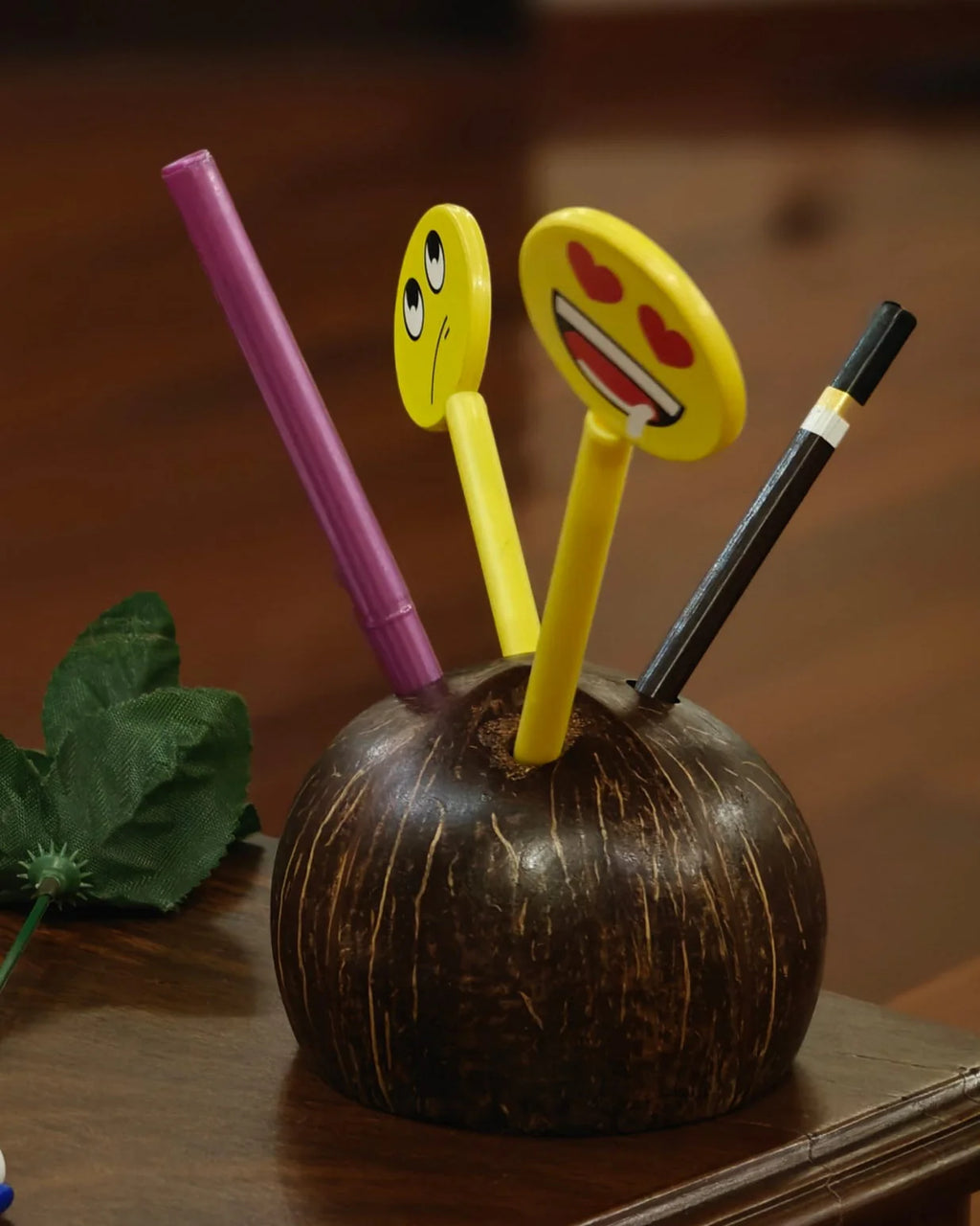 Coconut Shell Pen/Pencil Holder